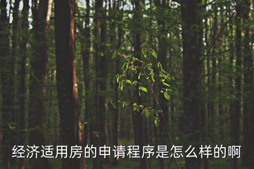 經(jīng)濟適用房的申請程序是怎么樣的啊
