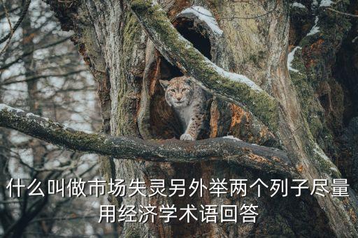 什么叫做市場失靈另外舉兩個列子盡量用經濟學術語回答
