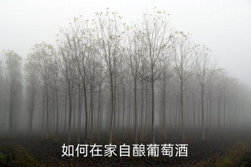 如何在家自釀葡萄酒
