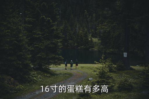 16寸蛋糕有多大，16寸的蛋糕有多高