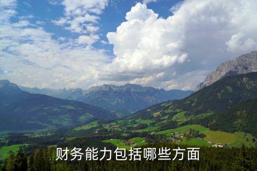 財務能力包括哪些方面