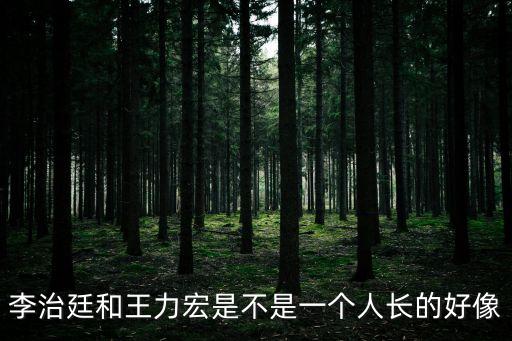 李治廷和王力宏，王力宏和李治廷是不是長得很像
