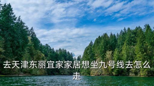 去天津東麗宜家家居想坐九號線去怎么走