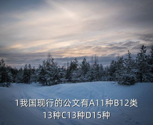 1我國現行的公文有A11種B12類13種C13種D15種