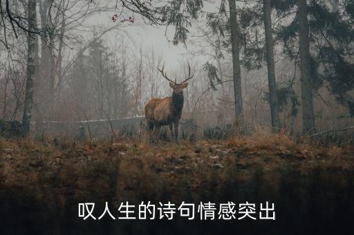 嘆人生的詩(shī)句情感突出