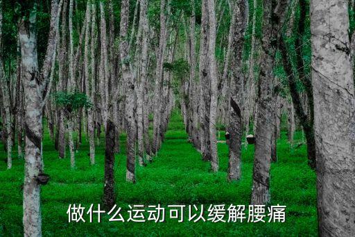 做什么運動可以緩解腰痛