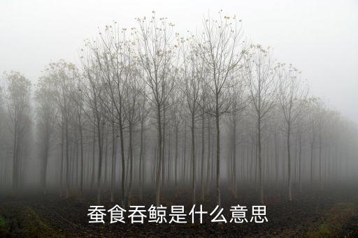 蠶食鯨吞的意思，蠶食鯨吞猜一動物
