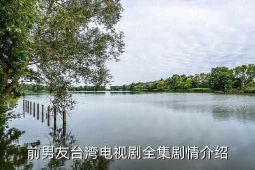 前男友臺灣電視劇全集劇情介紹