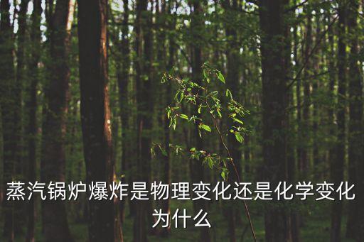 蒸汽爆炸，蒸汽鍋爐爆炸是物理變化還是化學變化為什么