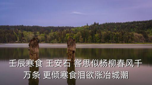 壬辰寒食 王安石 客思似楊柳春風(fēng)千萬(wàn)條 更傾寒食淚欲漲冶城潮