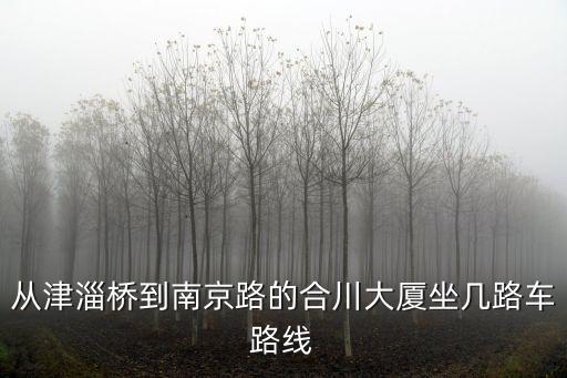 天津市南營門商圈，從津淄橋到南京路的合川大廈坐幾路車路線