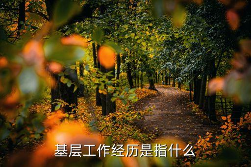 基層工作經歷，基層工作經歷是什么