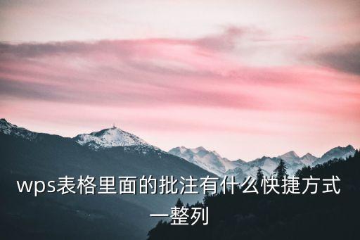 wps表格里面的批注有什么快捷方式一整列