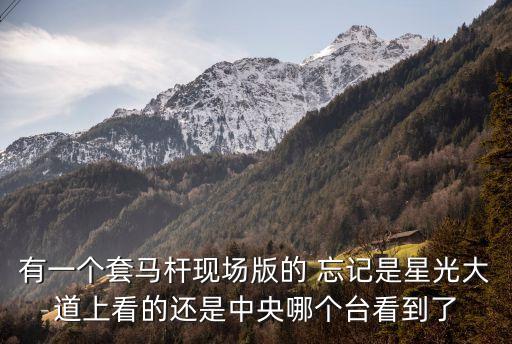 有一個套馬桿現(xiàn)場版的 忘記是星光大道上看的還是中央哪個臺看到了