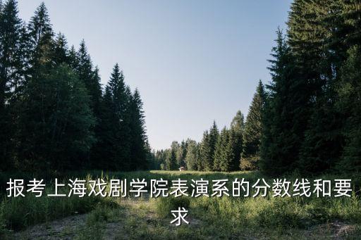 報考上海戲劇學院表演系的分數線和要求
