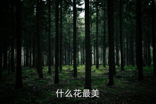 什么花最美