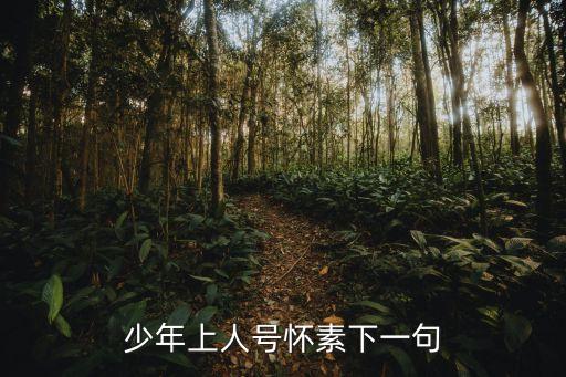 少年上人號懷素，少年上人號懷素下一句是什么