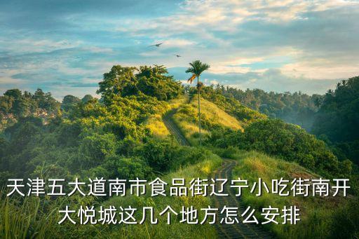 天津五大道南市食品街遼寧小吃街南開大悅城這幾個地方怎么安排