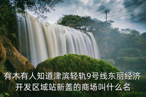 天津市東麗萬達開業，天津河東萬達廣場在哪