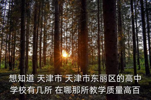 天津市東麗區的中學有多少，天津市東麗區一共有幾所中學
