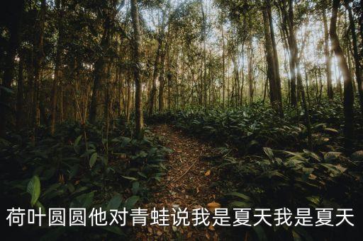 荷葉圓圓他對青蛙說我是夏天我是夏天