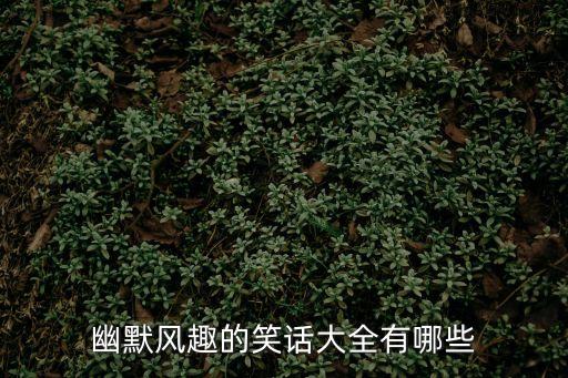 幽默風趣的笑話大全有哪些