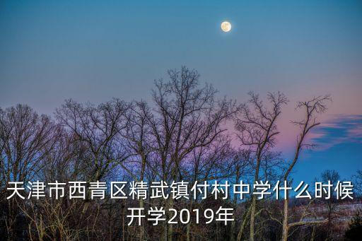 天津市西青區精武鎮付村中學什么時候開學2019年