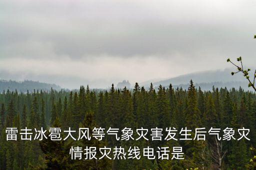 天津市防御雷電災害辦公室，雷擊冰雹大風等氣象災害發生后氣象災情報災熱線電話是