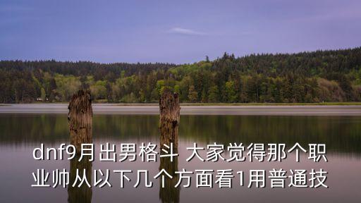 出男，dnf9月出男格斗 大家覺得那個職業帥從以下幾個方面看1用普通技