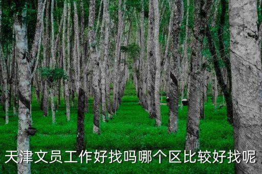 天津文員工作好找嗎哪個區(qū)比較好找呢