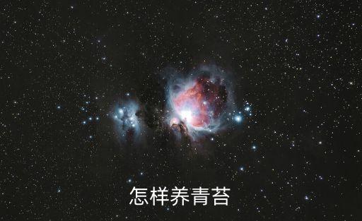 怎樣養青苔