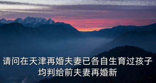 請問在天津再婚夫妻已各自生育過孩子均判給前夫妻再婚新