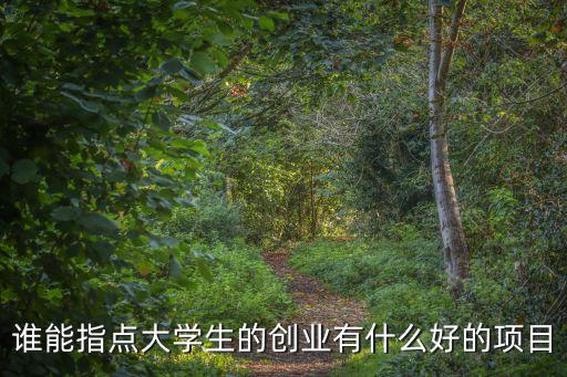 誰能指點大學生的創(chuàng)業(yè)有什么好的項目