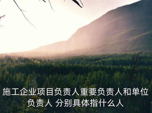 項(xiàng)目負(fù)責(zé)人，施工企業(yè)項(xiàng)目負(fù)責(zé)人重要負(fù)責(zé)人和單位負(fù)責(zé)人 分別具體指什么人