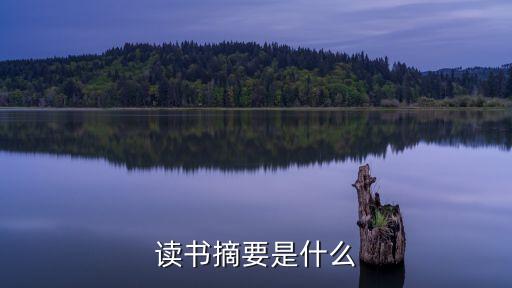 讀書摘要是什么