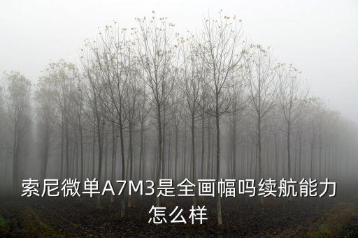 a7m3，索尼微單A7M3是全畫幅嗎續航能力怎么樣