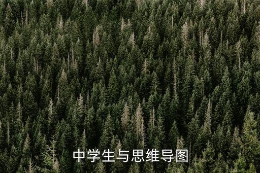 中學生與思維導圖