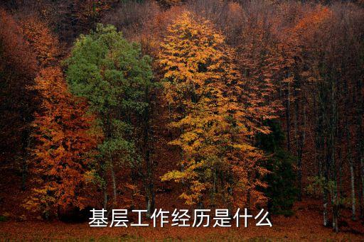 基層工作經(jīng)歷是什么