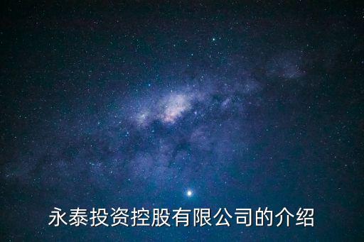 永泰投資控股有限公司的介紹