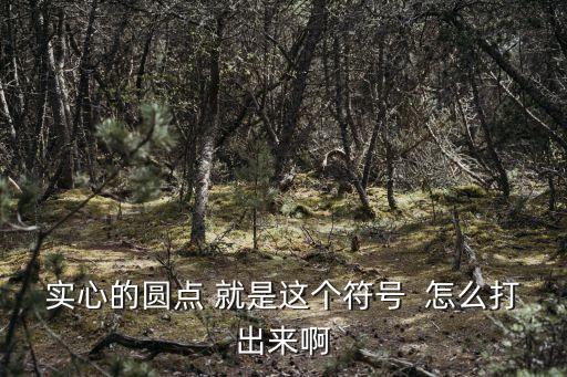 實(shí)心的圓點(diǎn) 就是這個(gè)符號(hào)  怎么打出來(lái)啊