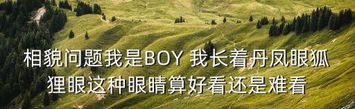 相貌問(wèn)題我是BOY 我長(zhǎng)著丹鳳眼狐貍眼這種眼睛算好看還是難看