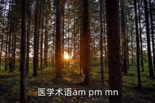醫(yī)學(xué)術(shù)語am pm mn