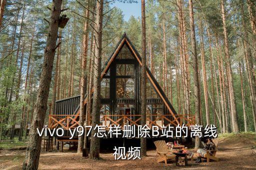 vivo y97怎樣刪除B站的離線視頻