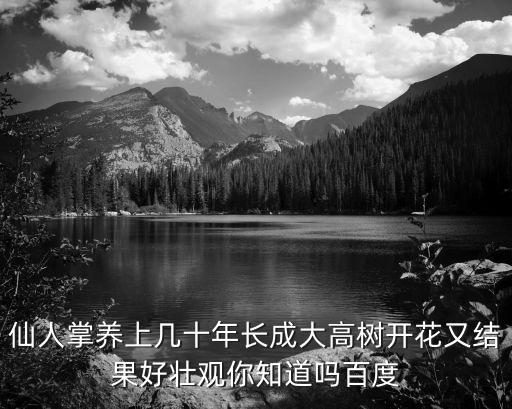 仙人掌養(yǎng)上幾十年長成大高樹開花又結(jié)果好壯觀你知道嗎百度