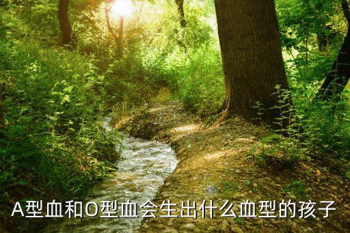 A型血和O型血會(huì)生出什么血型的孩子