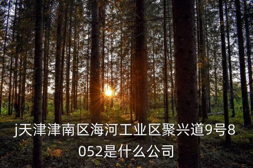 j天津津南區(qū)海河工業(yè)區(qū)聚興道9號8052是什么公司