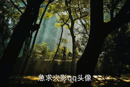 急求火影qq頭像