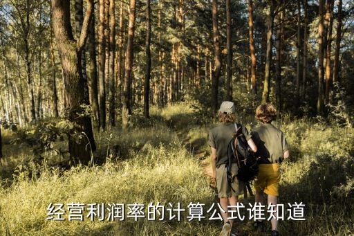 經營利潤率的計算公式誰知道