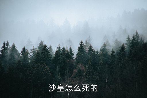 沙皇尼古拉二世，沙皇尼古拉二世是第幾世紀