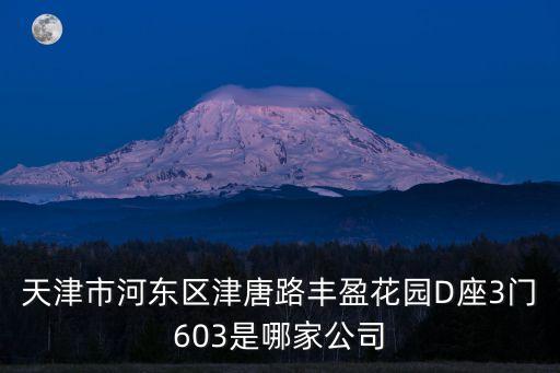 天津市河東區津唐路豐盈花園D座3門603是哪家公司